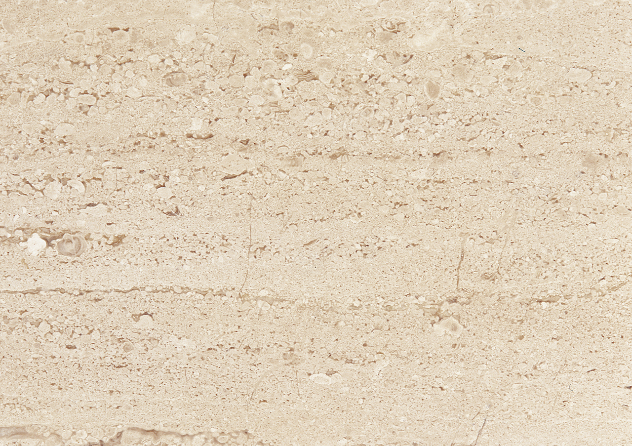 Breccia Sarda, marmo italiano – dettaglio della superficie